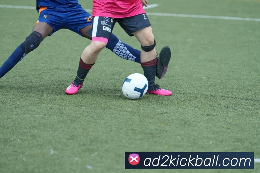 KAIYUNSPORTS官网平台生态图